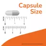 Now Foods Ojibwa Herbal Extract 450 mg (180 Veg Capsules)