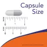 Now Foods Beta 1,3/1,6- D -Glucan 100 mg (90 Veg Capsules)