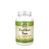 Now Foods Xanthan Gum Powder (170 g)