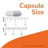 Now Foods Magtein® Calm (60 Veg Capsules)