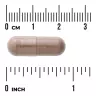 Swanson Saw Palmetto (100 Capsules)
