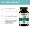 Himalaya Organic Tribulus (60 Caplets)