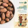 Himalaya Lip Balm  (10 g, Cacao Butter)