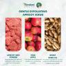 Himalaya Gentle Exfoliating Apricot Scrub  (75 ml, Apricot)