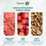 Himalaya Gentle Exfoliating Apricot Scrub  (75 ml, Apricot)