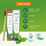 Himalaya Botanique Complete Care Toothpaste (75 ml, Mint)