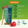 Himalaya Botanique Neem Pomegranate Toothpaste  (75 ml, Neem & Pomegranate)