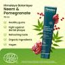 Himalaya Botanique Neem Pomegranate Toothpaste  (75 ml, Neem & Pomegranate)