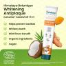 Himalaya Botanique Whitening Antiplaque Curcuma Toothpaste (75 ml, Mint)