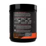 Rule1 R1 Protein Whey Isolate (448g, Chocolate Fudge)