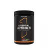 Rule1 Essential Amino 9  (345 g, Cherry Limeade)