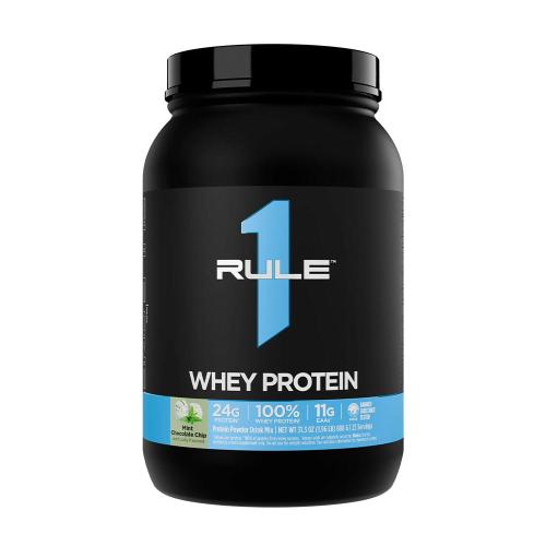Rule1 Whey Protein (2 lbs, Mint Chocolate Chip)