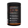 Rule1 Essential Amino 9  (345 g, Fruit Punch)