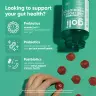 Goli Pre + Post + Probiotics Gummies (60 Gummies)