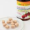 Vitaking Multivitamin for Children (90 Chewables)