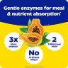 Enzymedica Papaya Complete (120 Tablets, Papaya mint)