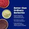 Enzymedica Berberine Phytosome® (60 Capsules)