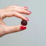 Nutriversum KSM-66 Ashwagandha Gummies (60 Gummies, Blackberry)
