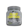 Olimp Sport Pump Express 2.0 Concentrate (660 g, Forest Fruit)