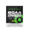 Scitec Nutrition BCAA + Glutamine Xpress (12 g, Apple)