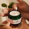 The Body Shop Vitamin E Moisture Day Cream (50 ml)