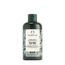 The Body Shop Tea Tree Conditioner (250 ml)