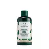 The Body Shop Shea Conditioner (250 ml, Shea Butter)