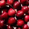 The Body Shop Born Lippy Lip Balm (10 ml, Cherry)