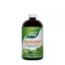 Nature's Way Chlorofresh® Liquid Chlorophyll (480 ml, Mint)