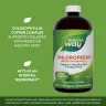 Nature's Way Chlorofresh® Liquid Chlorophyll (480 ml, Unflavored)