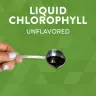 Nature's Way Chlorofresh® Liquid Chlorophyll (480 ml, Unflavored)