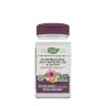 Nature's Way Echinacea Astragalus & Reishi (100 Capsules)