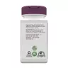 Nature's Way Echinacea Astragalus & Reishi (100 Capsules)