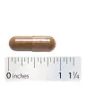 Nature's Way Eyebright (100 Capsules)