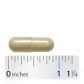 Nature's Way Fenugreek Seed (320 Capsules)