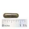 Nature's Way Kelp  (100 Capsules)
