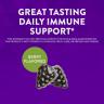 Nature's Way Sambucus Gummies (60 Gummies)