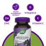 Nature's Way Sambucus Gummies (60 Gummies)