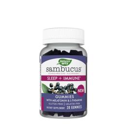   Nature's Way Sambucus Sleep + Immune Gummies (30 Gummies)