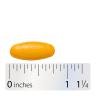 Nature's Way Turmeric Premium Extract (60 Tablets)