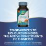 Nature's Way Turmeric Premium Extract (60 Tablets)