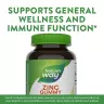 Nature's Way Zinc Gummies (120 gummies, Mixed Berry)