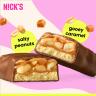 Nick's Salty Peanut Protein Bar (50 g)