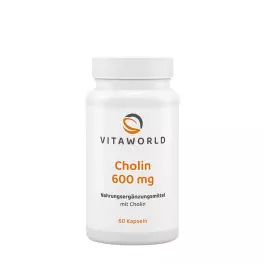 Vitaworld Choline 600 mg (60 Capsules)
