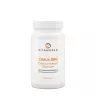 Vitaworld Cistus 500  (60 Capsules)