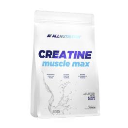 ALLNUTRITION Creatine Muscle Max (1000 g, Unflavored)
