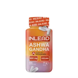 INLEAD Nutrition Ashwagandha KSM-66 (120 Capsules)