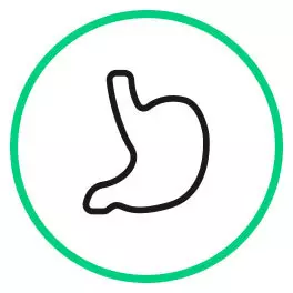 Digestive system support