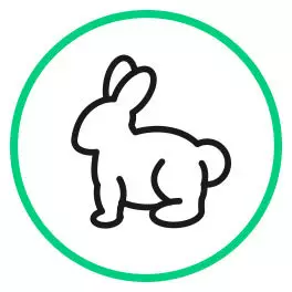 Supplements for pets